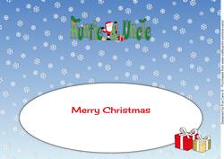 Shy Santa Auntie & Uncle Large Dl Insert