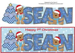 First Christmas Teddies Sean Large Dl