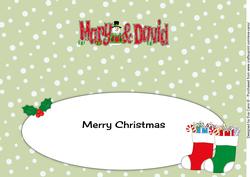 Christmas Names Mary & David Large Dl Insert