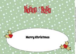 Christmas Nanna & Papa Large Dl Insert