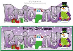 Snowman in Jacket with Tree Briony Large Dl