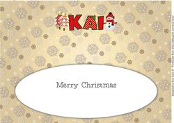 Cute Snowman Kai Large Dl Insert
