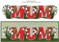 Mothers Day Snowdrops Mum Large Dl