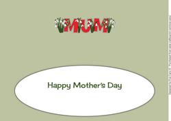 Mothers Day Snowdrops Mum Large Dl Insert