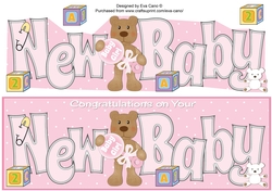 Teddy with Baby Rattle NEW BABY large dl