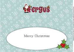 Santa in coat FERGUS large dl insert