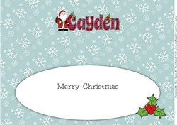 Santa in coat CAYDEN large dl insert
