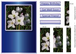 White Wild Flower