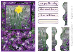 Daffodil with Purple Flowers