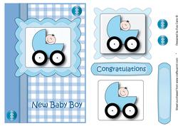 New Baby Boy