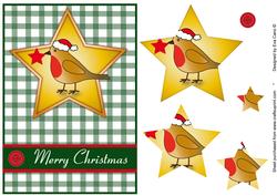 Christmas Robin Green Background