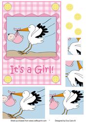 It’s a Girl! Stork with Baby Girl