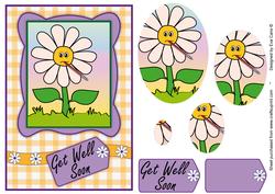 Get Well Soon Daisy Pyramid