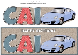 Porsche CAI large dl