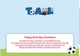 Football Boots & Football TAL large dl insert
