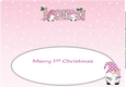 First Christmas Gnomes with baby bottle IONA large dl insert