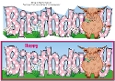 Highland Cow BIRTHDAY large dl 4