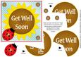 Flower and Ladybird Get Well Topper