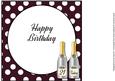 Birthday Champagne 21 Today Insert