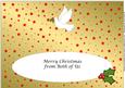Christmas Dove Large Dl Insert (gold)