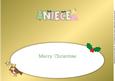 Christmas Little Princess Niece Large Dl Insert