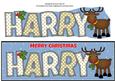 Rudolf the Red Nose Reindeer Harry Large Dl