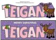 Rudolf the Red Nose Reindeer Teigan Large Dl