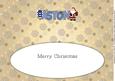 Santa Aston Large Dl Insert