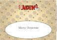 Cute Snowman Aiden Large Dl Insert
