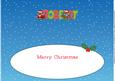 Christmas Owls Robert Large Dl Insert
