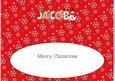 Cute Snowman Jacob Large Dl Insert