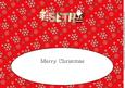 Santa Seth Large Dl Insert