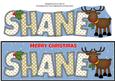 Rudolf the Red Nose Reindeer Shane Large Dl