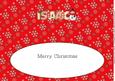 Cute Snowman Isaac Large Dl Insert