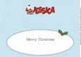 Santa with Rudolf Jessica Large Dl Insert