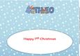 First Christmas Teddies Theo Large Dl Insert