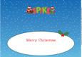 Christmas Owls Spike Large Dl Insert