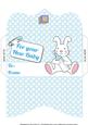 New Baby Money Wallet