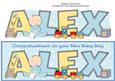 New Baby Boy Alex with Cute Baby & Bottle Large Dl