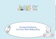 New Baby Boy Jack with Bunny & Pram Large Dl Insert