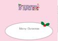 Christmas Fairies Verity Large Dl Insert