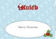 Santa in coat KALEB large dl insert