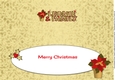 Red Poinsettia LEONIE & FAMILY large dl insert
