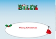 Christmas Boxing BILLY large dl insert