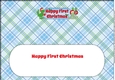 Christmas Dinosaurs with present and sign FIRST CHRISTMAS large dl 2 insert