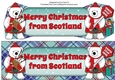 Monty Polar Bear and friend Merry Christmas from Scotland large dl
