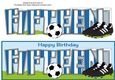 Football Boots & Football with blue & white stripes FIFTEEN large dl