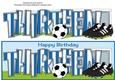 Football Boots & Football with blue & white stripes THIRTEEN large dl