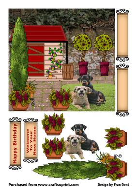 New Home with Dogs