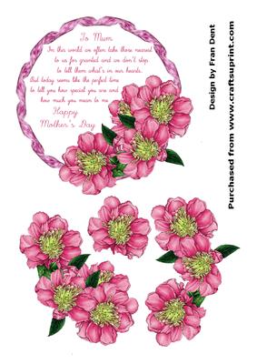 Mother's Day Camellias